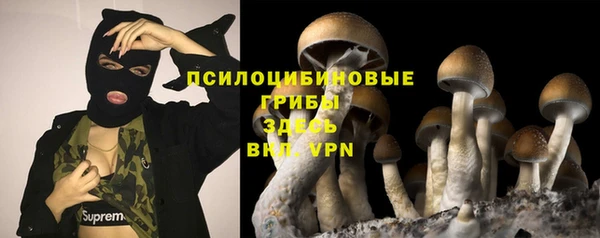 сатива Абаза