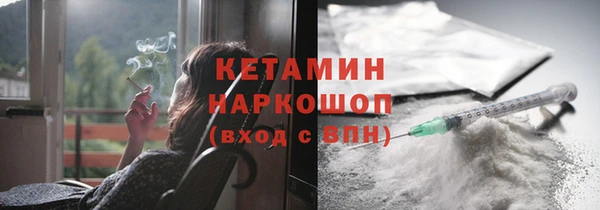 сатива Абаза