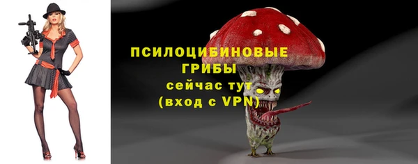дживик Абинск