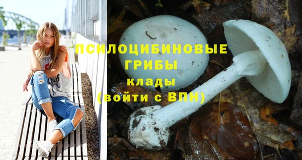сатива Абаза